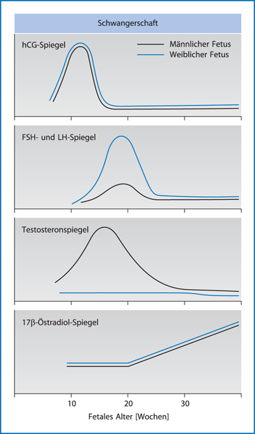 Endokrinologie der Schwangerschaft | SpringerLink