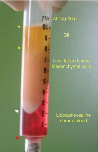 Diet plan endurance training photo 1