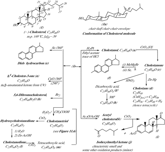 Steroids Cholesterol And Other Phytosterols Springerlink