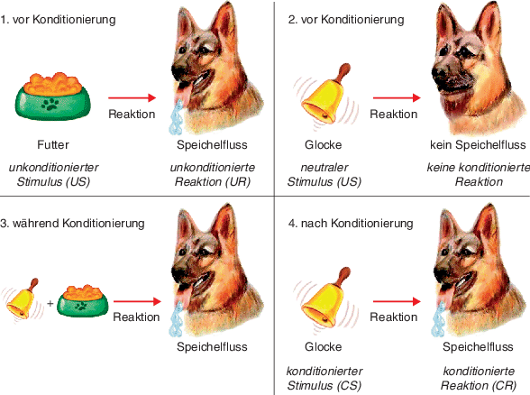 Lernen Assoziationsbildung, Konditionierung und implizites Lernen