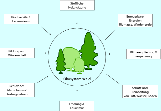 Die Bedeutung der Biodiversität für den Menschen SpringerLink
