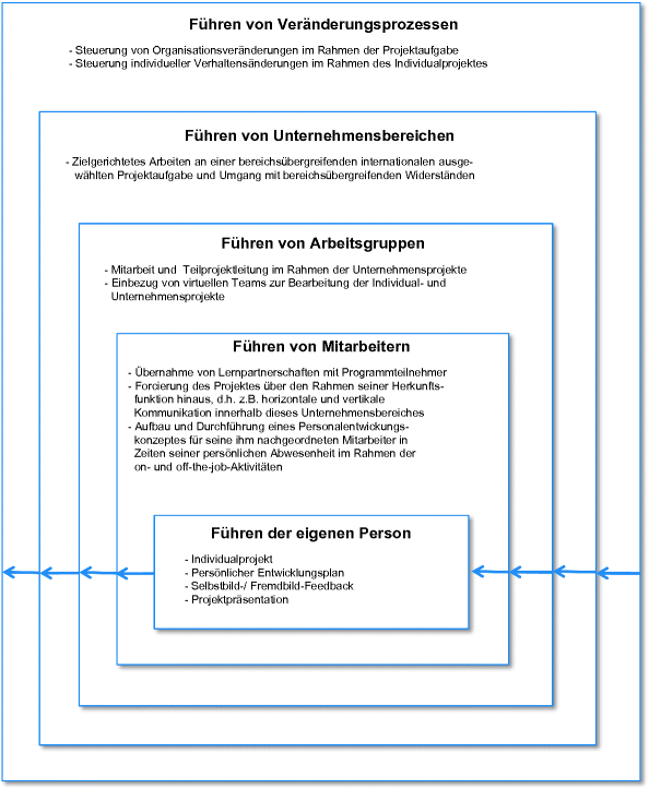 Individualperspektive Springerlink