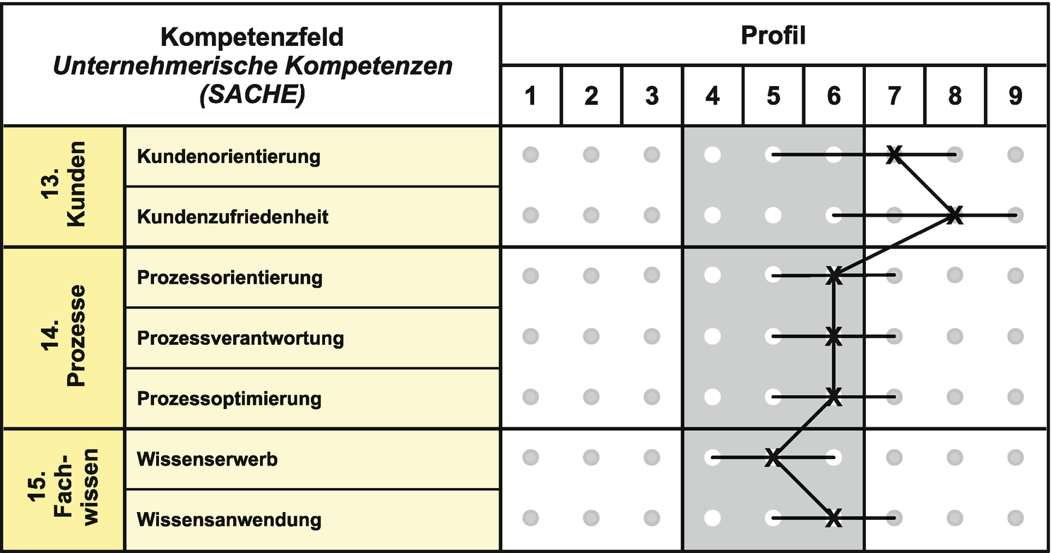 Kompetenzfelder Und Anforderungsprofile Springerlink
