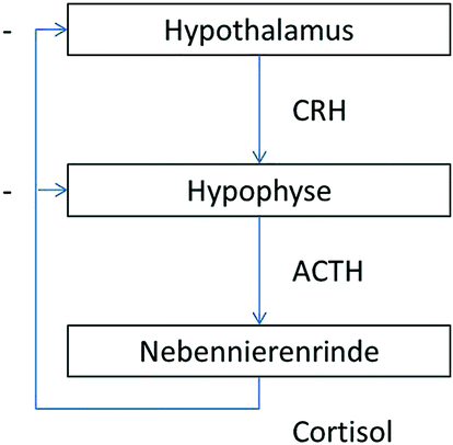 Top Stress hormone und zellulare immunfunktionen Books
