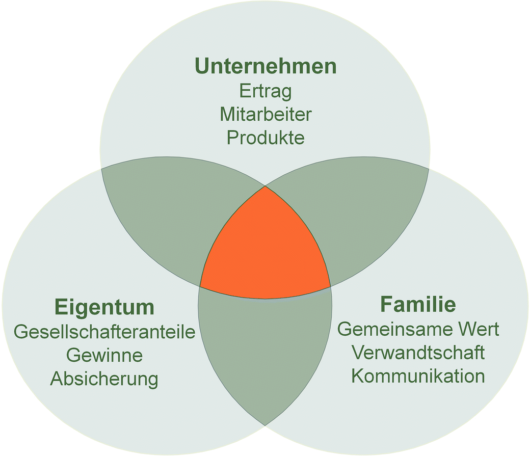 Wie Sichere Ich Familie Unternehmen Und Eigentum Fur Die Zukunft Springerlink