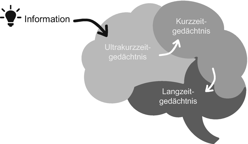 Grundlagen Zu Informationsaufnahme Aktivierung Und Wahrnehmung Springerlink
