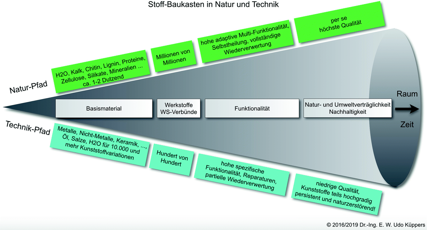 Operationale Prinzipien Der Natur Universelle Entwicklungswerkzeuge Eines Langzeitbewahrten Biodiversitatsreichen Managements Springerlink