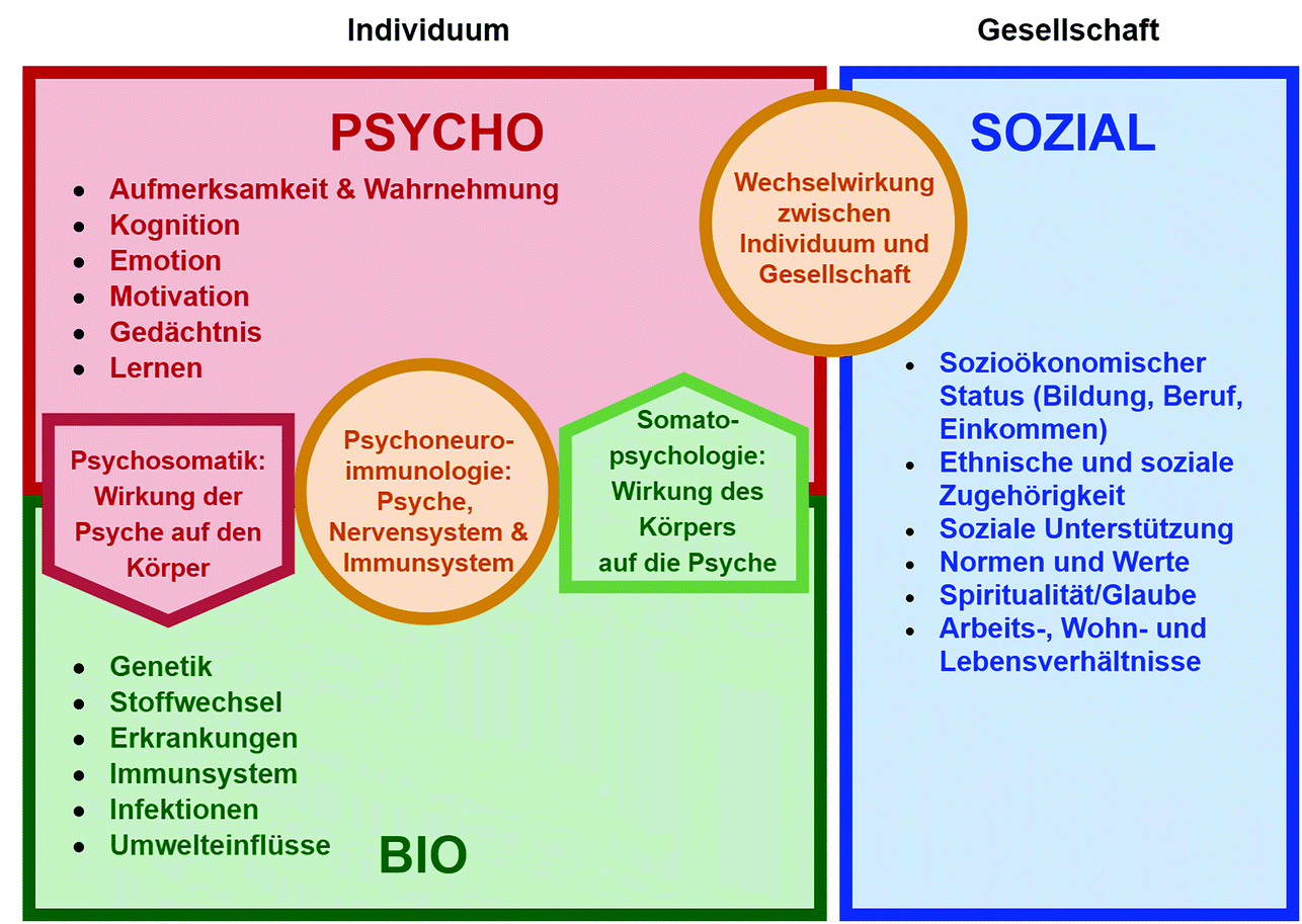 Die Menschliche Psyche Eine Kurze Betrachtung Springerlink