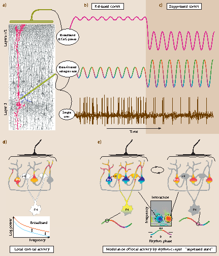 Neuroengineering Springerlink