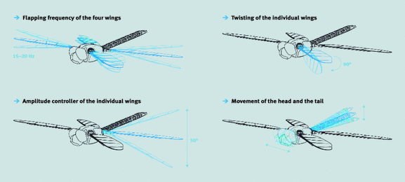 Inventing a Micro Aerial Vehicle Inspired by the Mechanics of Dragonfly  Flight | SpringerLink