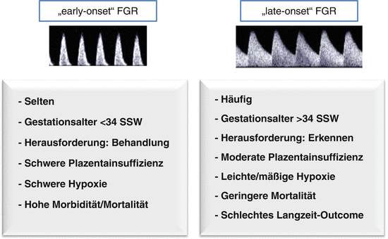 Fetale Wachstumsrestriktion Fgr Springerlink