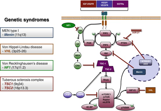 neuroendocrine cancer hereditary