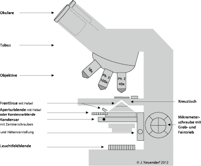 Mikroskop | SpringerLink