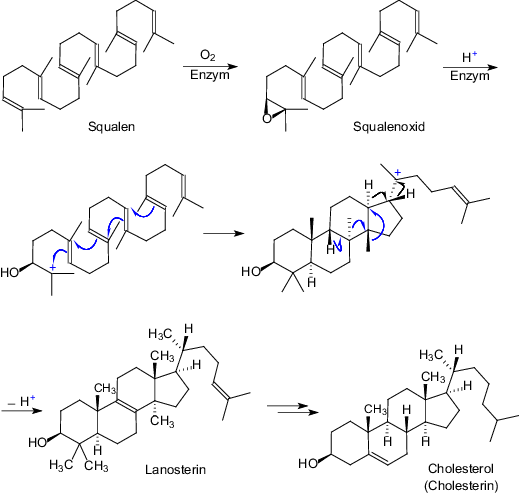 So finden Sie die Zeit für steroide tabletten bei Google im Jahr 2021