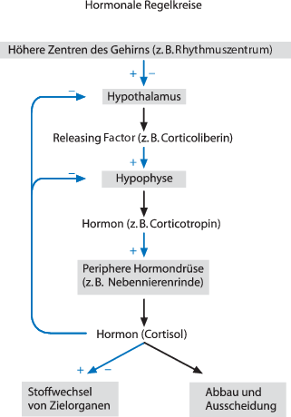 ivermectin informationen