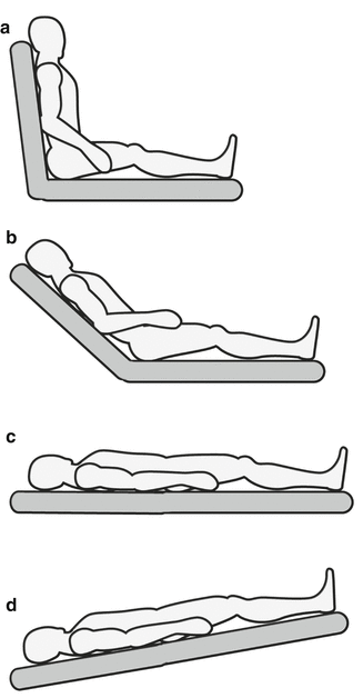 Patient Examination And Assessment Springerlink