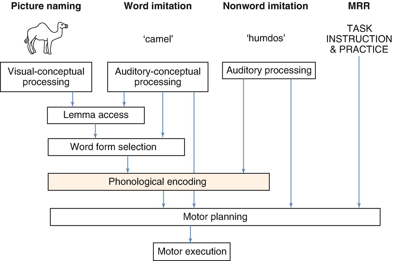 Asha Phonological Processes Chart