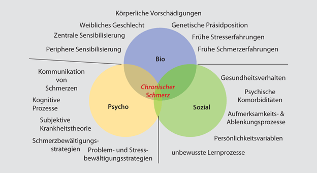 Grundlagen Springerlink