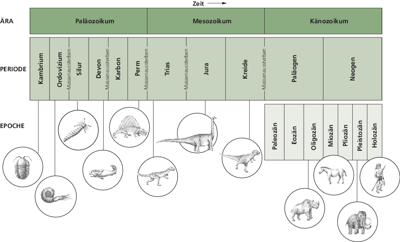 Geologische Zeitskala radiometrische DatierungKostenloser Dating-Profil-Schöpfer
