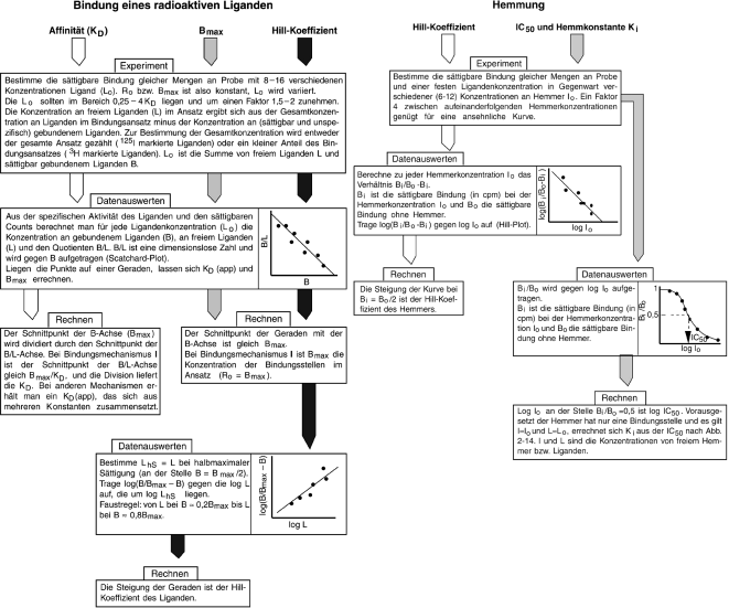 Download Zufrieden sein mit dem var mand hat Desktop Wallpaper Zufrieden Sein Mit Dem Var Mand Hat