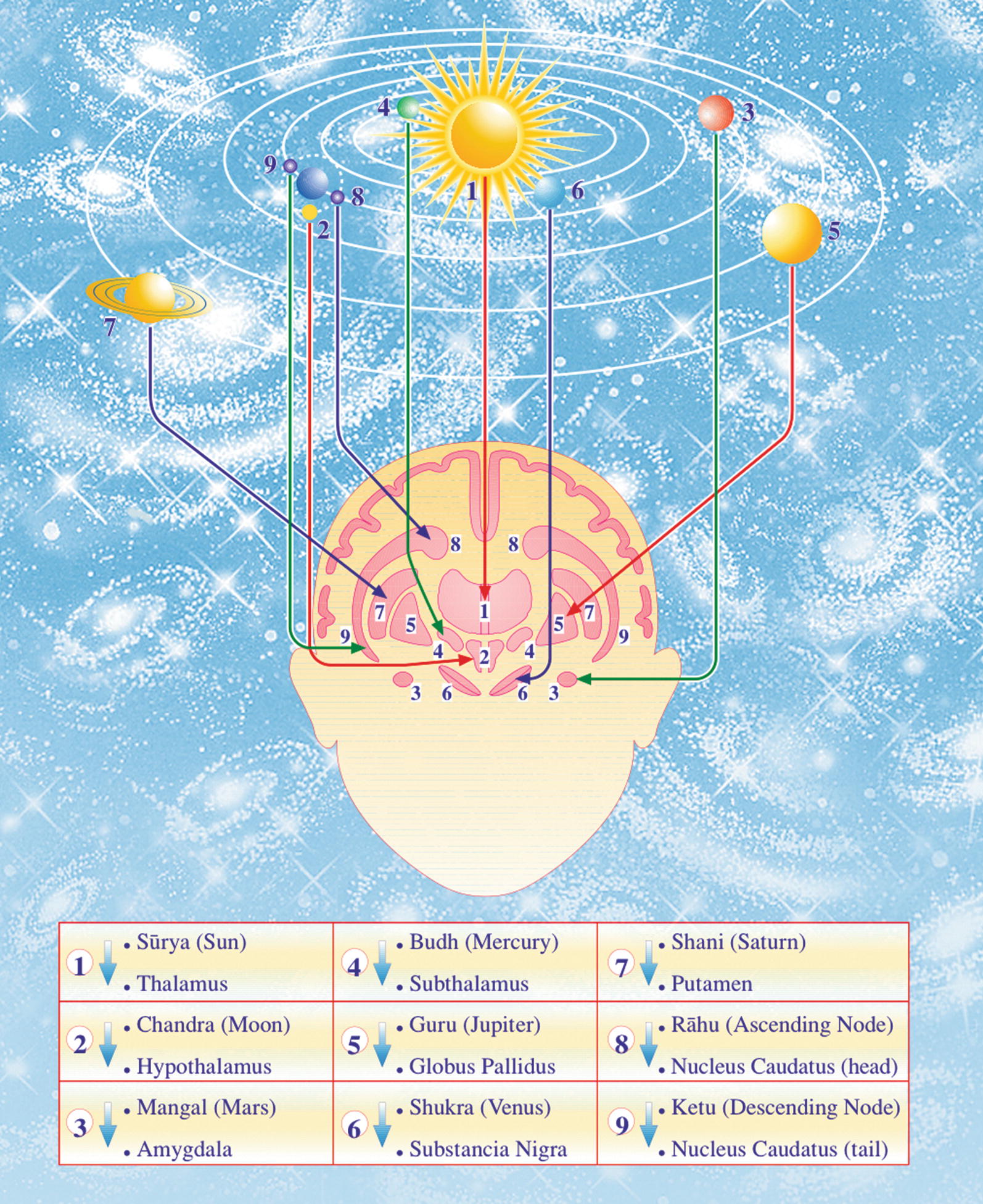 Ayurveda Yoga Und Transzendentale Meditation Maharishi Vedische Medizin Springerlink