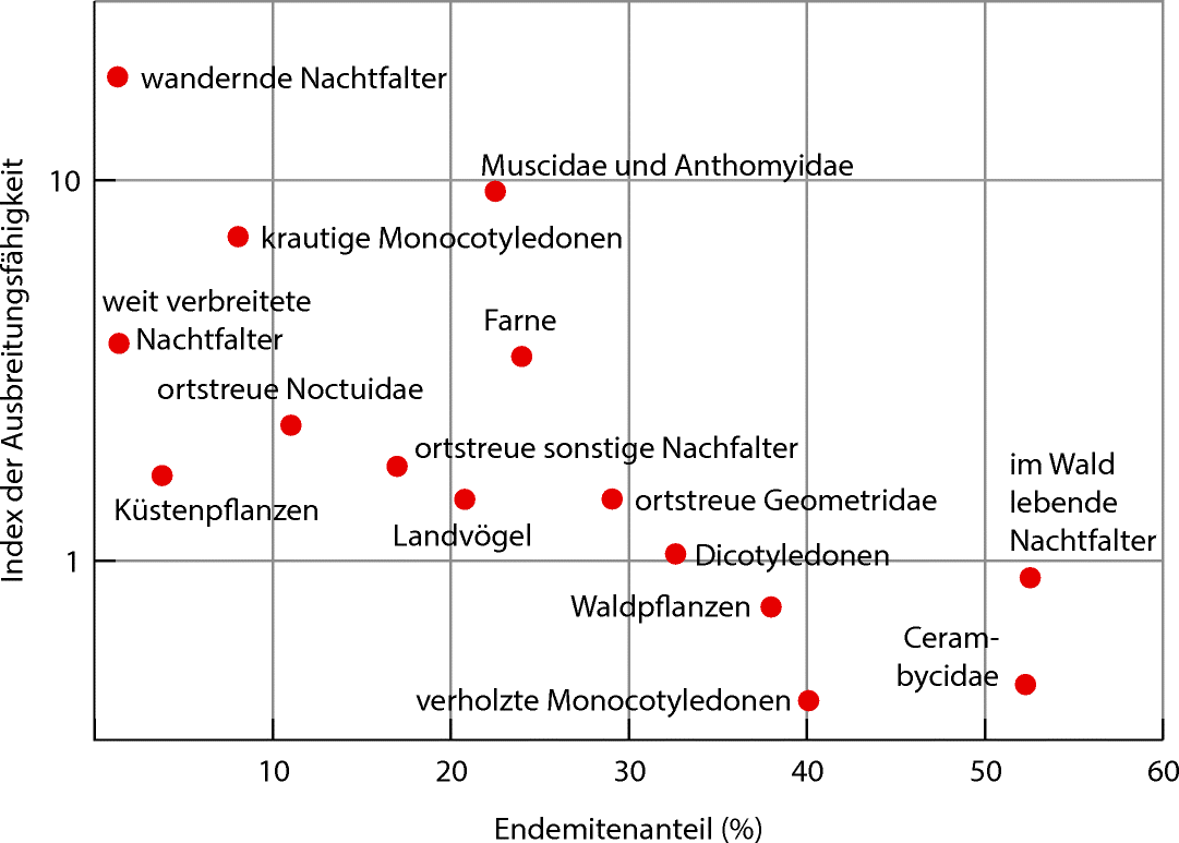 Businessplan für Dating-Website
