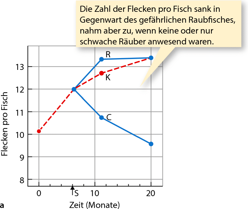 Das Alter ist nur eine Zahl, wenn die Datierung