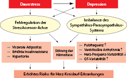 nachtschweiß vor menstruation