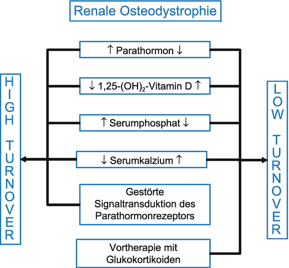 Endokrine Storungen Der Nierenfunktion Und Des Wasserhaushalts Bei Kindern Und Jugendlichen Springerlink