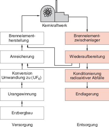 Radioaktives Isotop, das Fossilien datiert