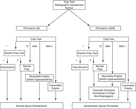 Endodontic Diagnosis Chart