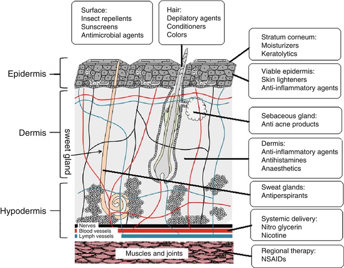 Non Formulation Parameters That Affect Penetrant Skin Vehicle Interactions And Percutaneous Absorption Springerlink