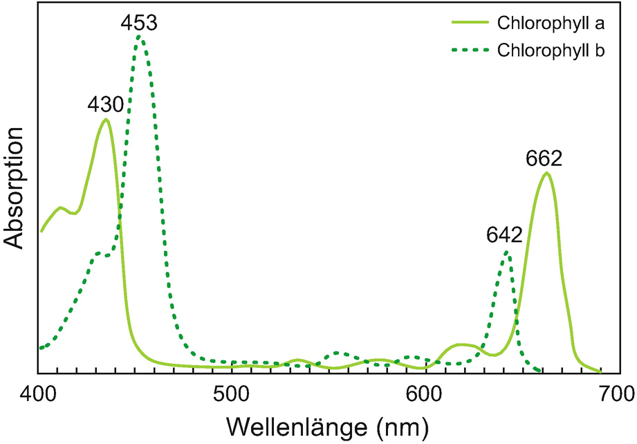 Chlorophyllfluoreszenzanalyse | SpringerLink