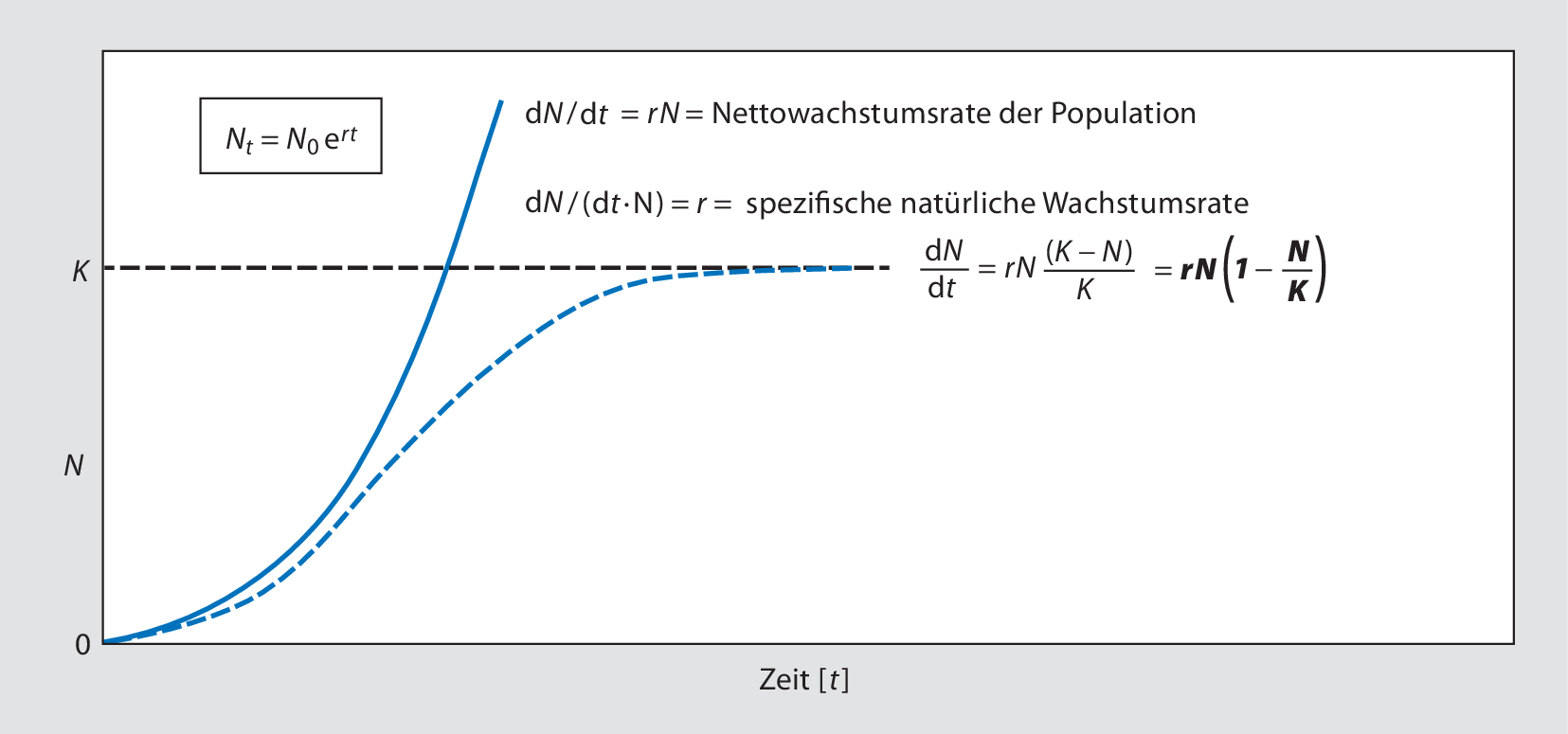 Populationsokologie Der Pflanzen Springerlink
