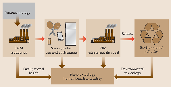 Environment Health And Safety Issues In Nanotechnology - 