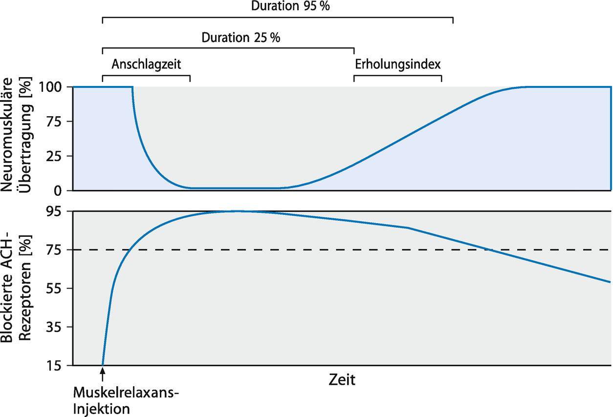 Muskelrelaxanzien Und Ihre Antagonisten Springerlink