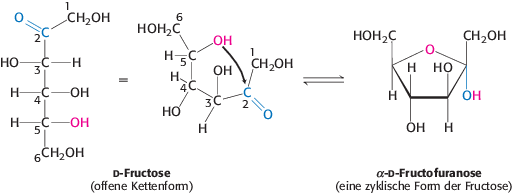 Kohlenhydrate Springerlink