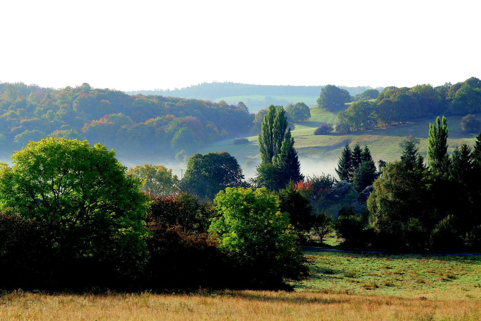 Ab Wann Heckenschnitt Erlaubt Schleswig Holstein Hecke Zu Fruh