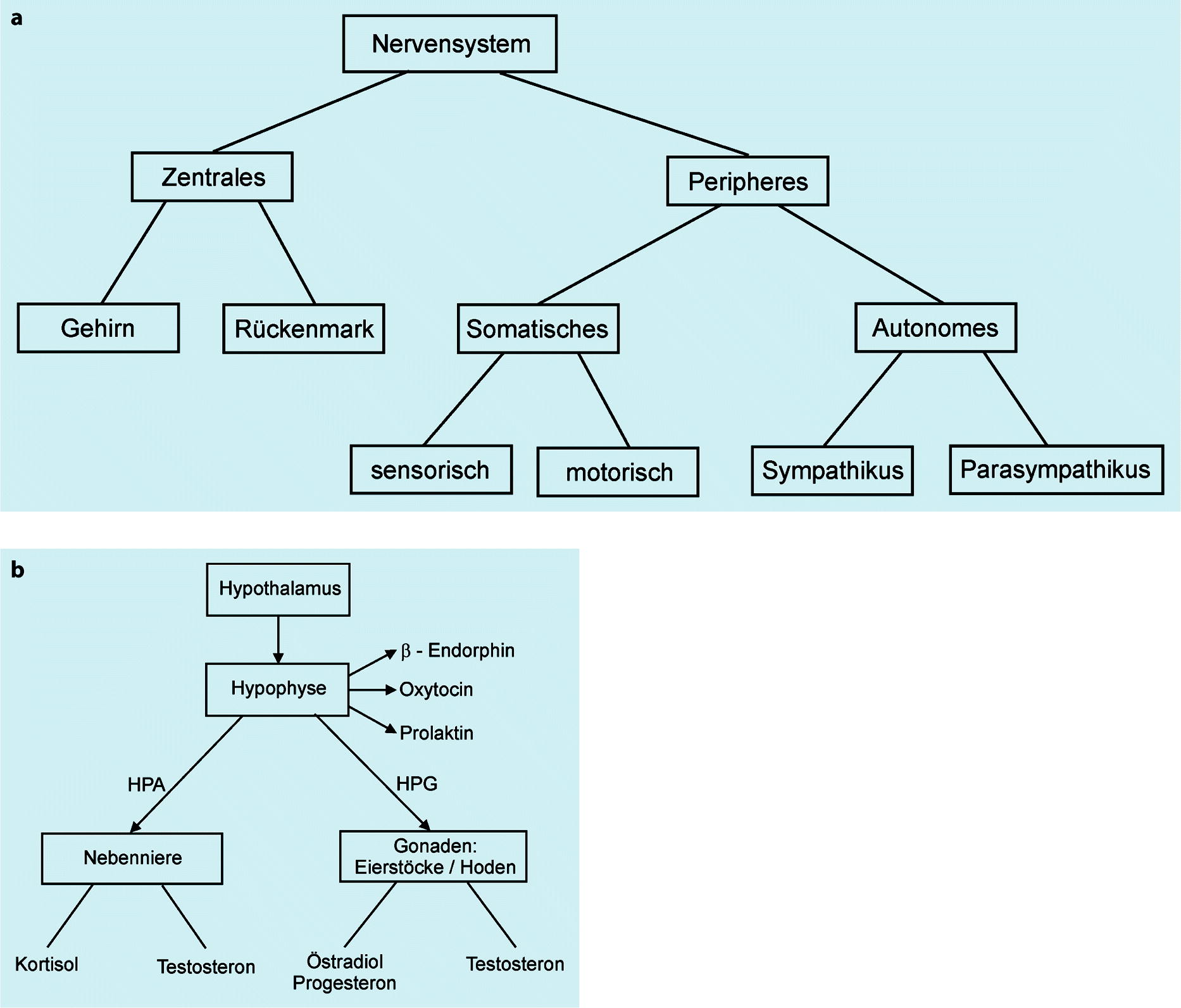 Sechs Paradigmen Der Personlichkeitspsychologie Springerlink