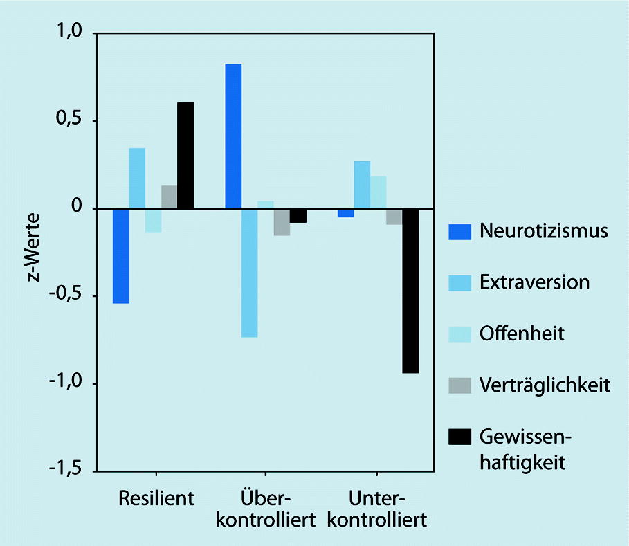 Persönlichkeitstypen big five Studie „Feline