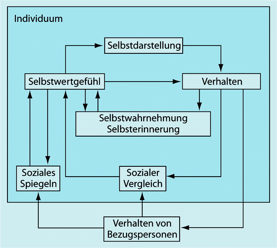 Personlichkeitsbereiche Springerlink