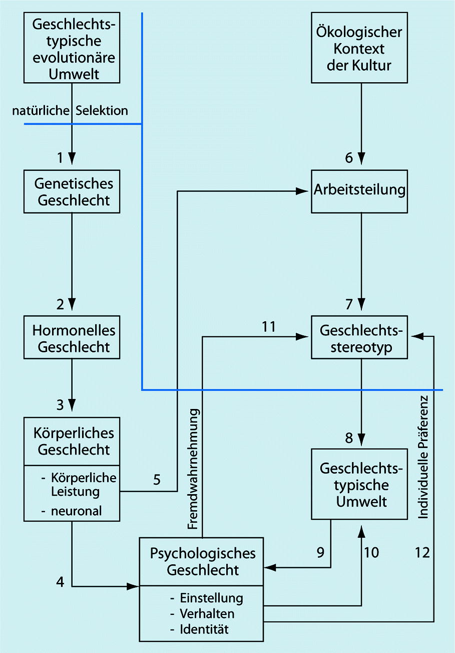 Ungewöhnliche Dating-Seiten