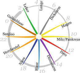 Grundlagen Der Traditionellen Chinesischen Medizin Tcm Und Der 5 Elemente Ernahrung Springerlink