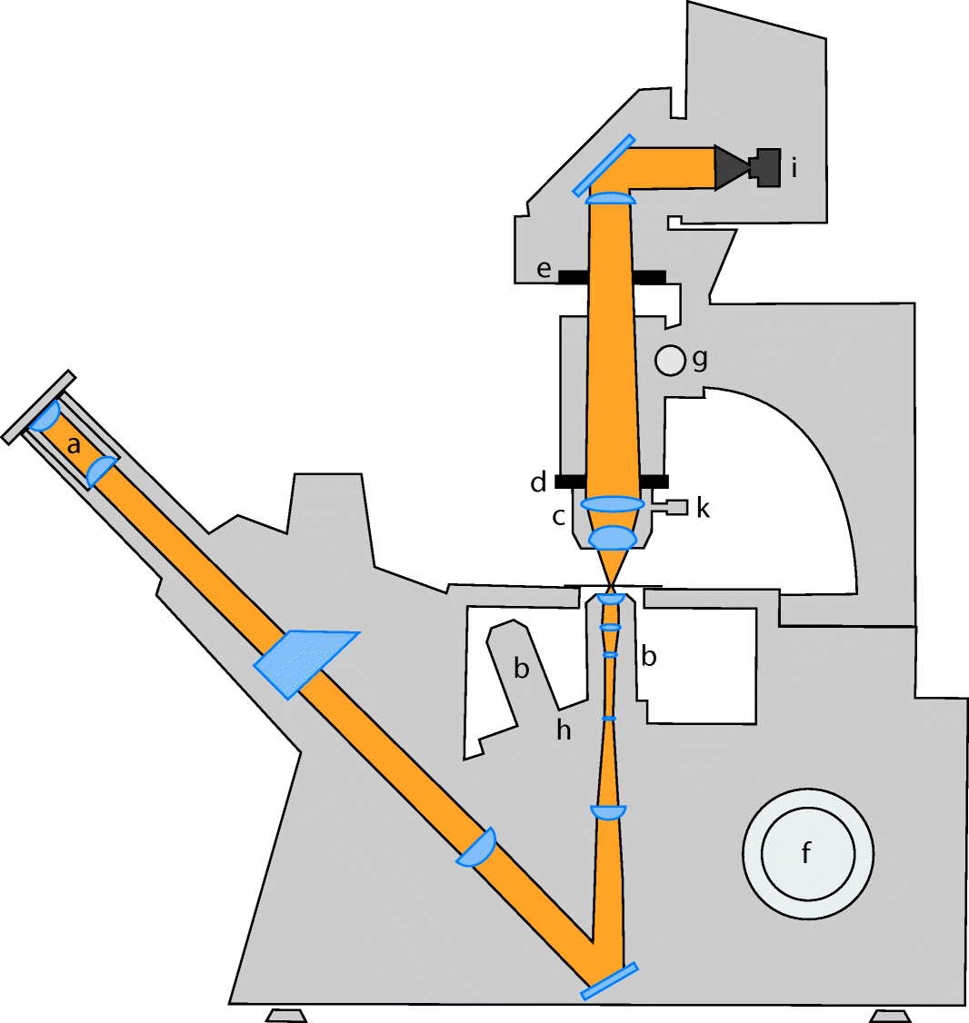 Lichtmikroskopie | SpringerLink