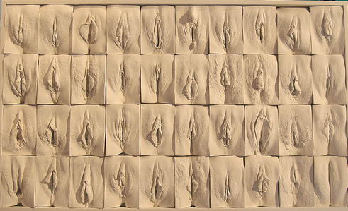 Vaginas verschiedene Die gängigsten