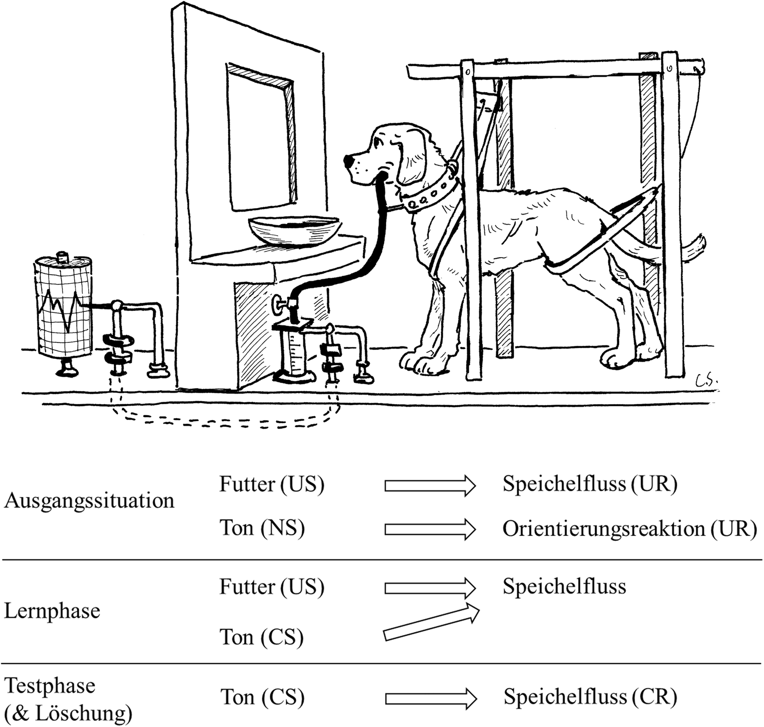 Lernen und Gedächtnis im Sport | SpringerLink