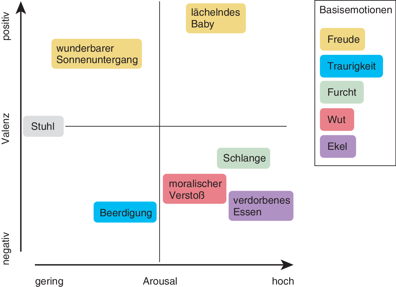 Neuronale Mechanismen Der Emotion Springerlink