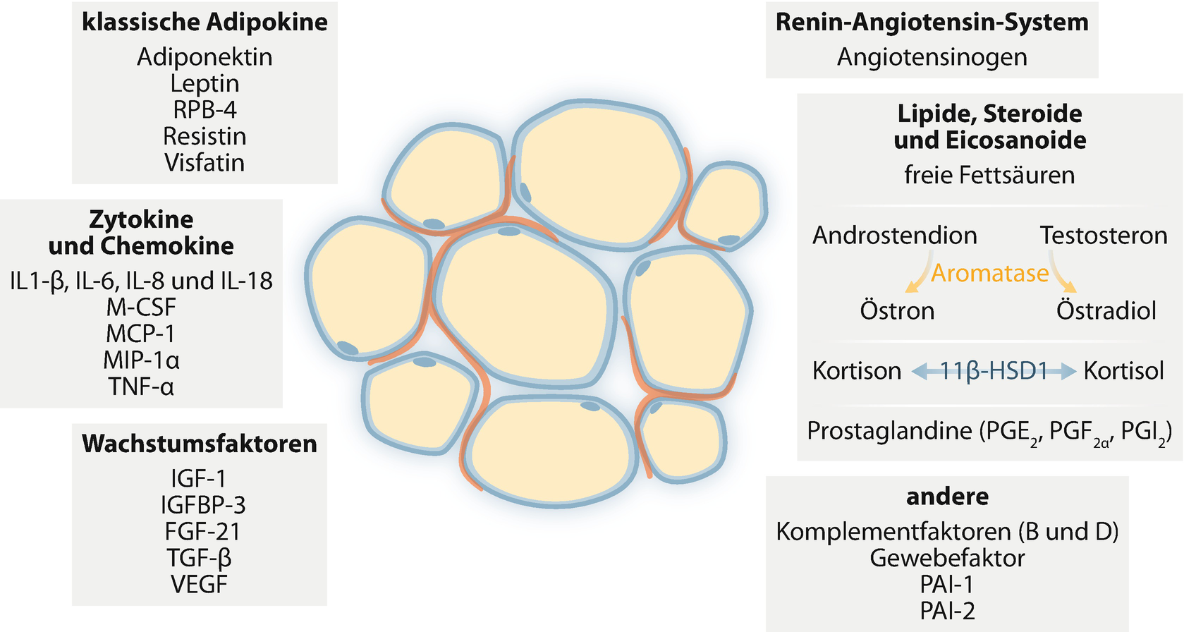 Top 10 steroide fitnessstudio -Konten, denen Sie auf Twitter folgen sollten
