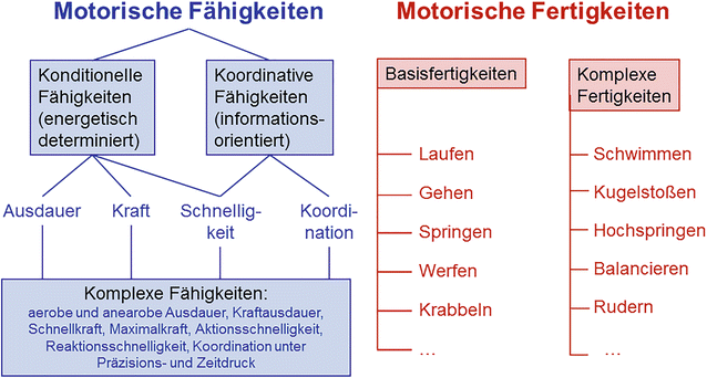 Motorische Entwicklung | SpringerLink