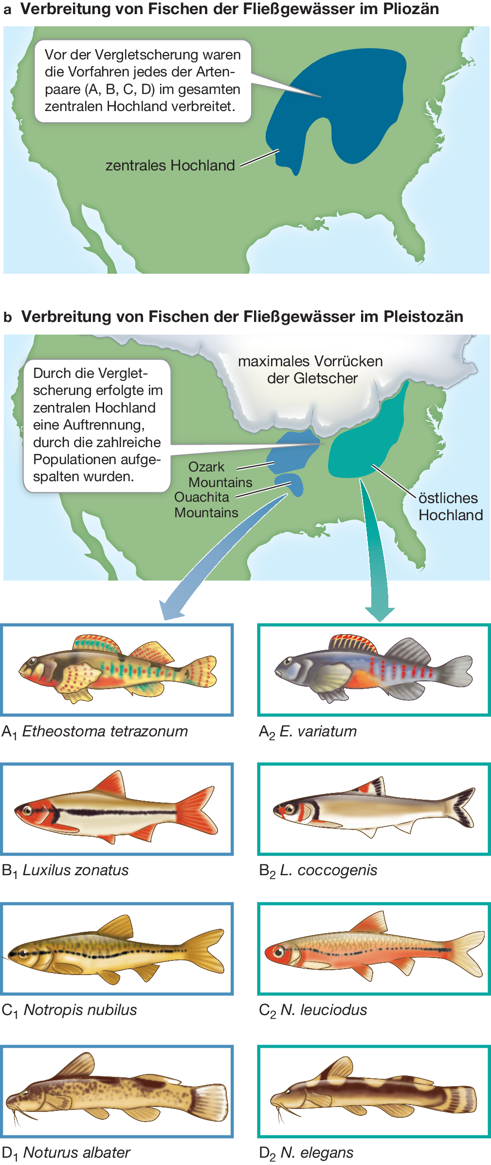 Fisch im Meer datiert Website